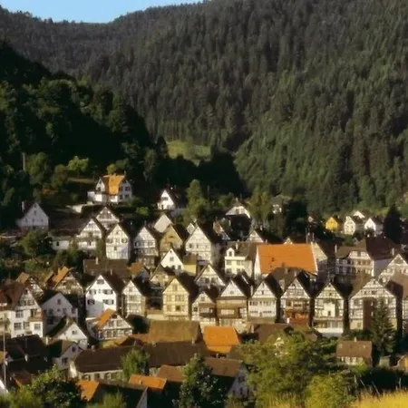 Zur Alten Bruecke 게스트하우스 3*