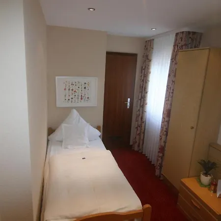 Zur Alten Bruecke 게스트하우스